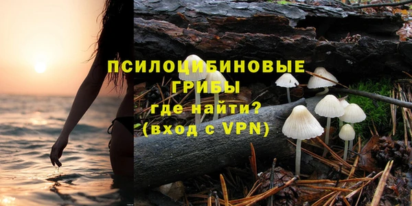 соль курить ск Алзамай